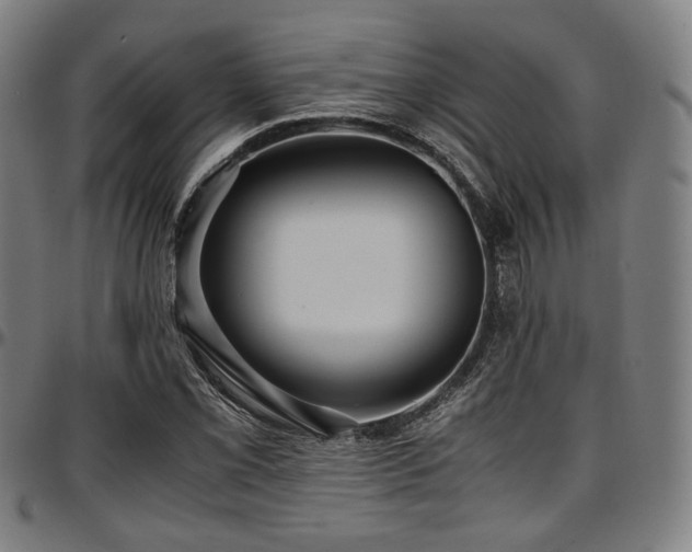 X0000097601069200802291238