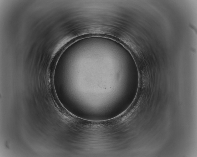 X0000097601070200802291237