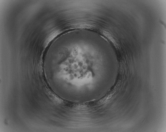 X0000097601071200802291237