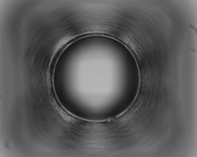 X0000097601072200802291237