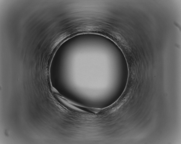 X0000097601073200802291237