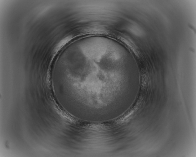 X0000097601074200802291237