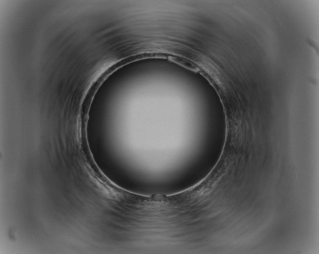X0000097601076200802291237