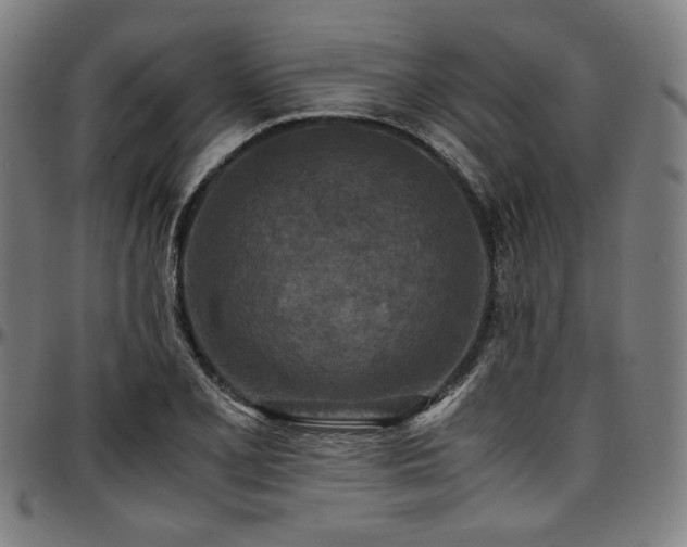 X0000097601077200802291237