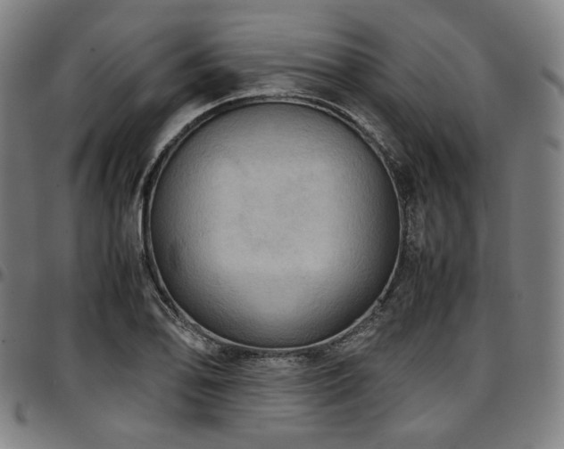 X0000097601078200802291237