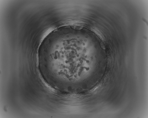 X0000097601079200802291237