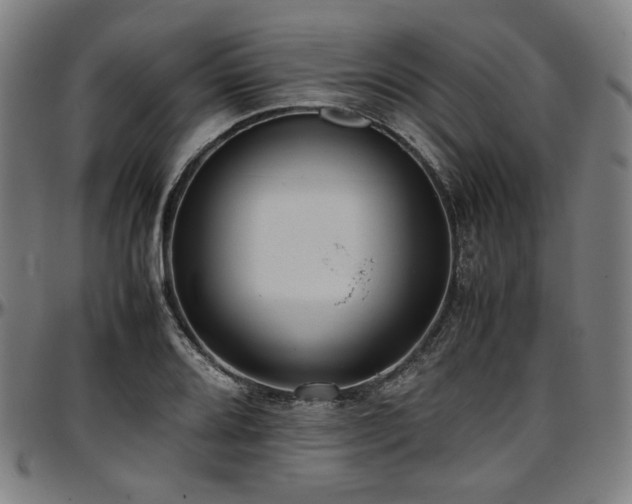 X0000097601080200802291237