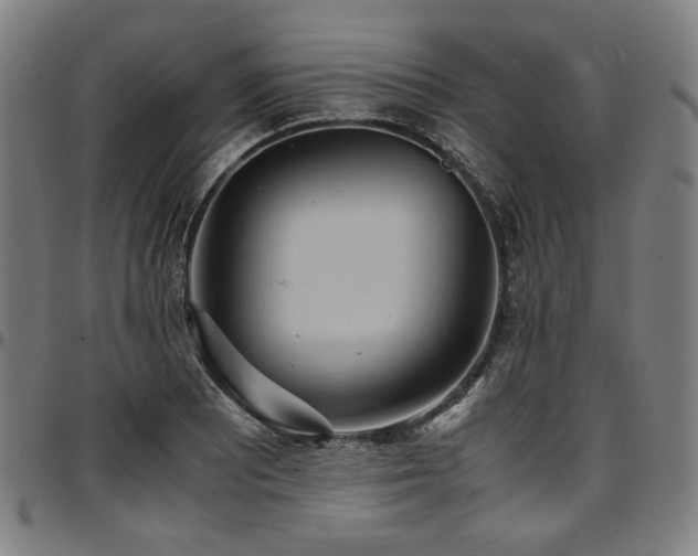X0000097601081200802291237
