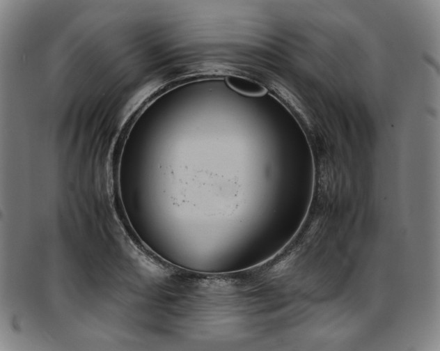 X0000097601082200802291237