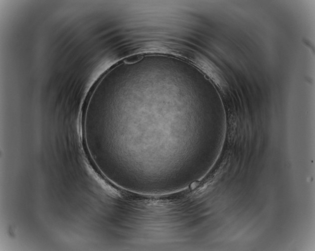 X0000097601084200802291237