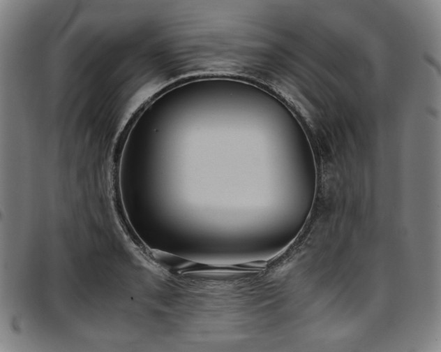 X0000097601085200802291237