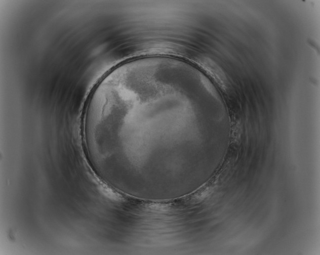 X0000097601086200802291237