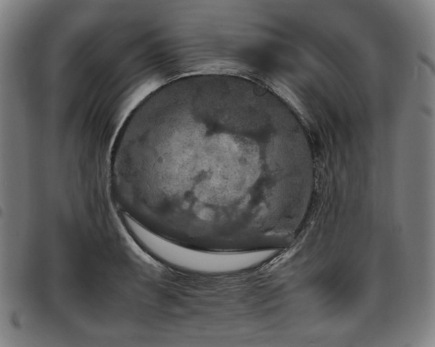 X0000097601087200802291237