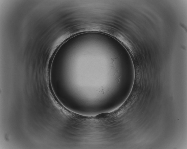 X0000097601088200802291237