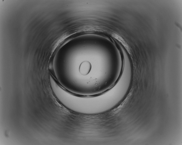 X0000097601089200802291237