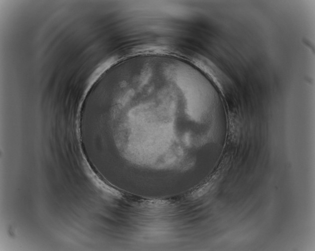 X0000097601090200802291237