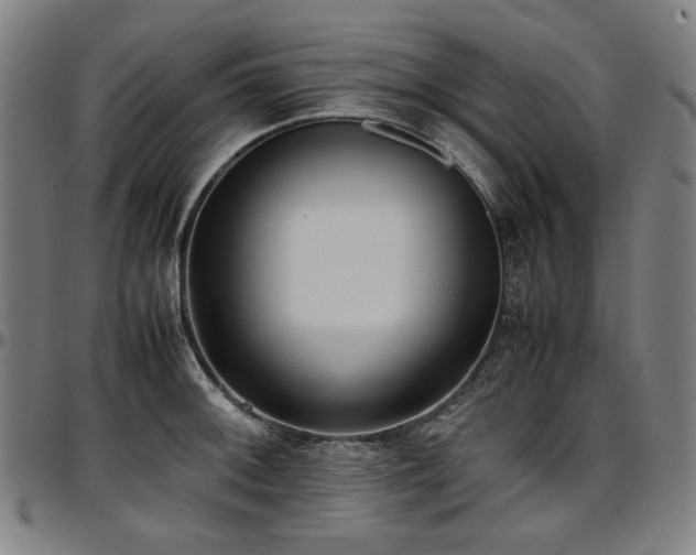 X0000097601092200802291237