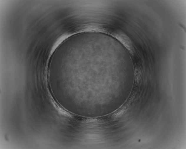 X0000097601094200802291237
