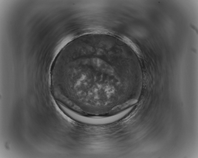 X0000097601095200802291237