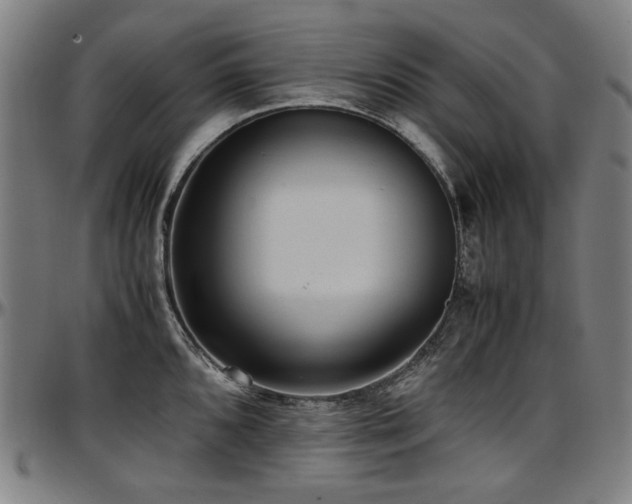 X0000097601096200802291237