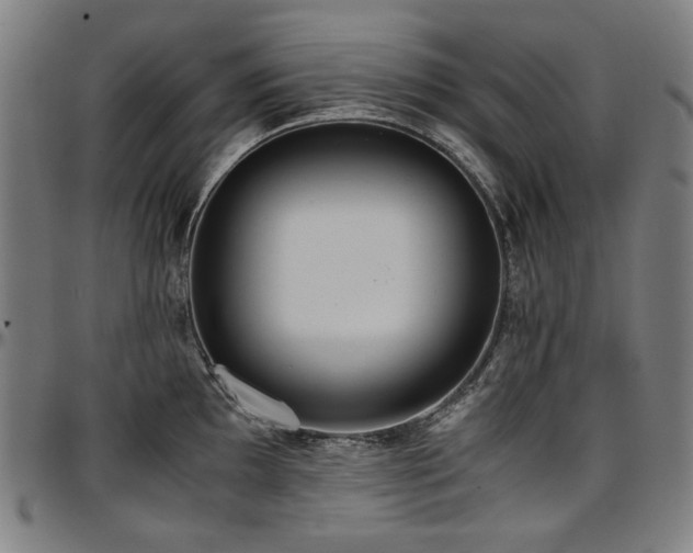 X0000097601097200802291237