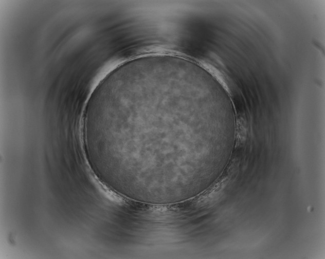 X0000097601098200802291237