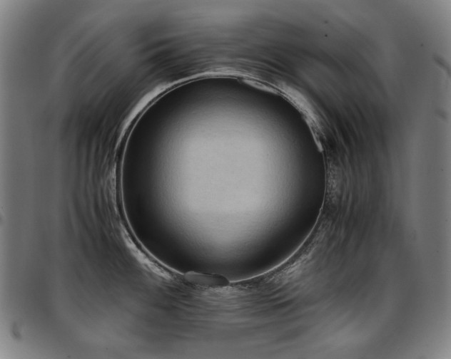 X0000097601100200802291237
