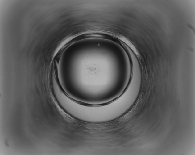 X0000097601101200802291237