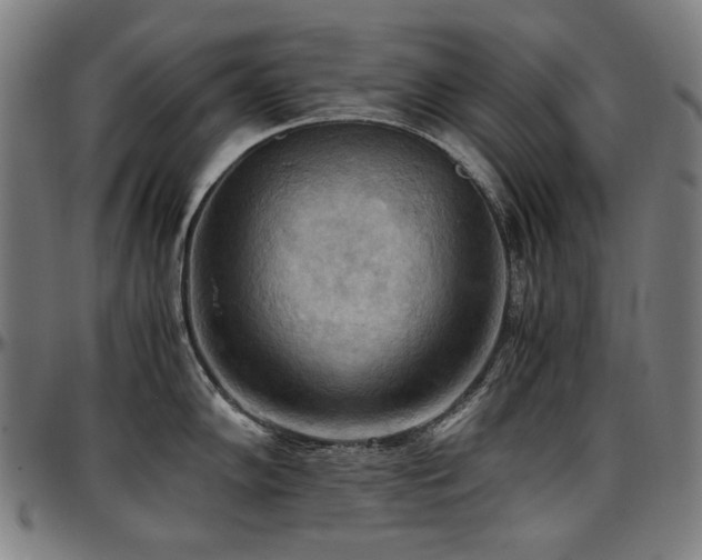 X0000097601102200802291237