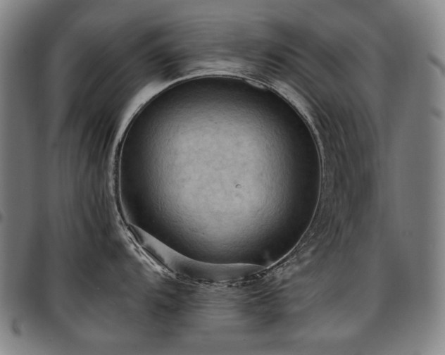 X0000097601104200802291237