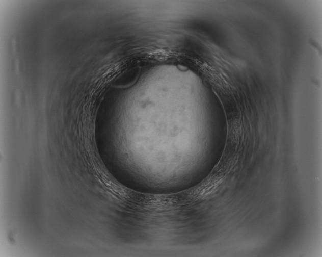 X0000097601105200802291236
