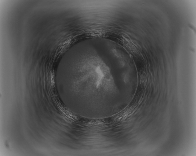 X0000097601106200802291236