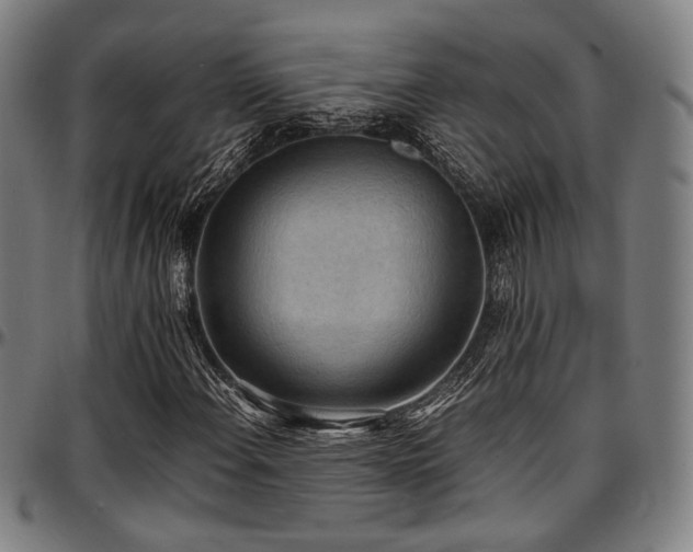 X0000097601108200802291236