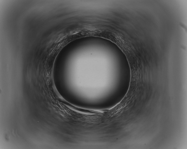 X0000097601109200802291236