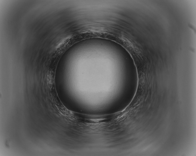 X0000097601110200802291236