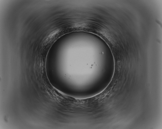 X0000097601111200802291236