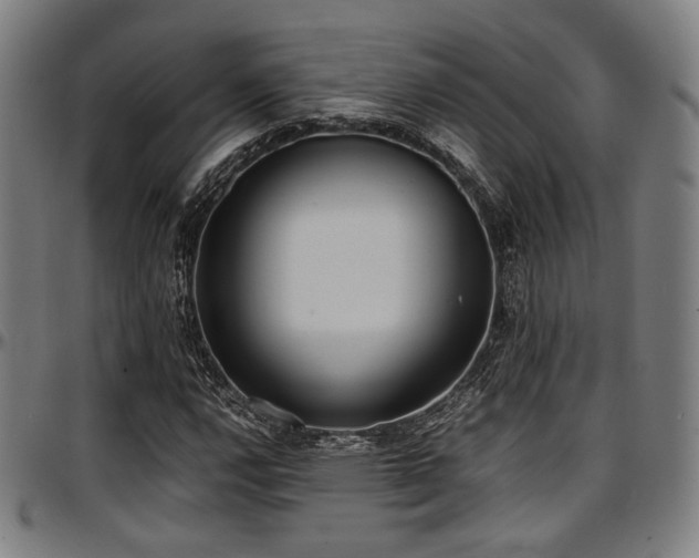 X0000097601112200802291236