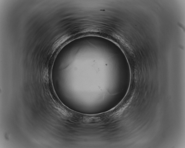 X0000097601113200802291236