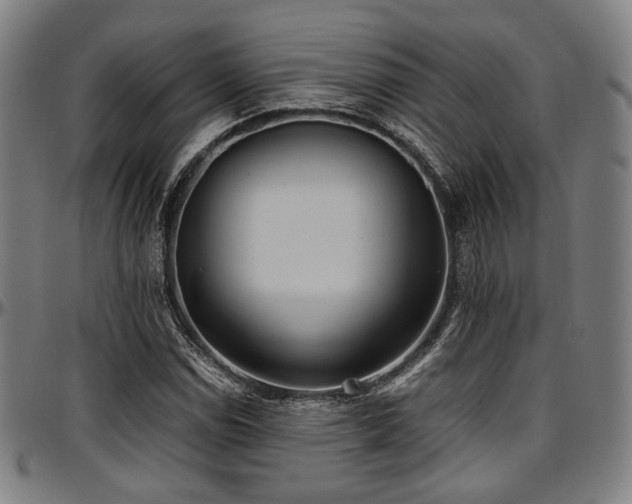 X0000097601114200802291236