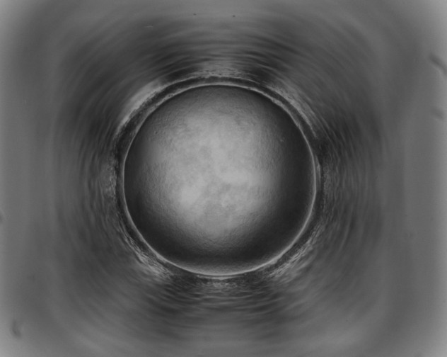 X0000097601115200802291236