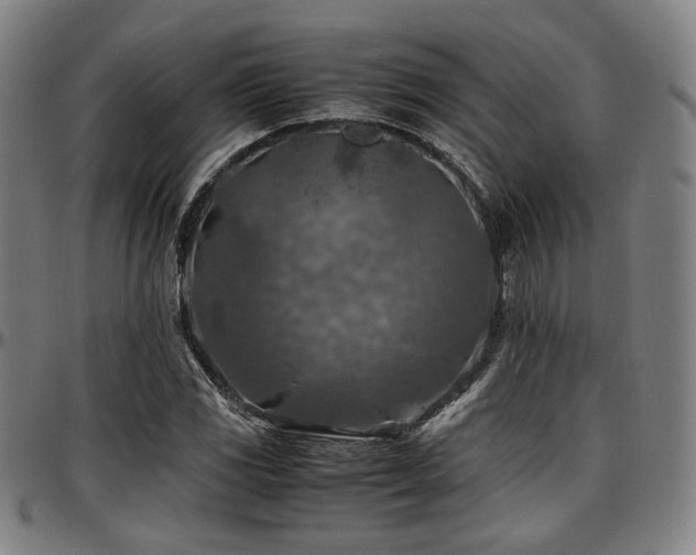 X0000097601117200802291237