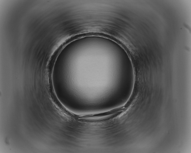 X0000097601118200802291237