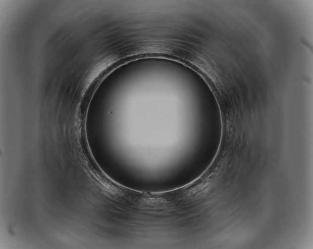 X0000097601119200802291237