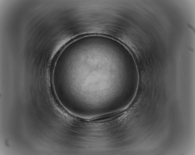 X0000097601120200802291237