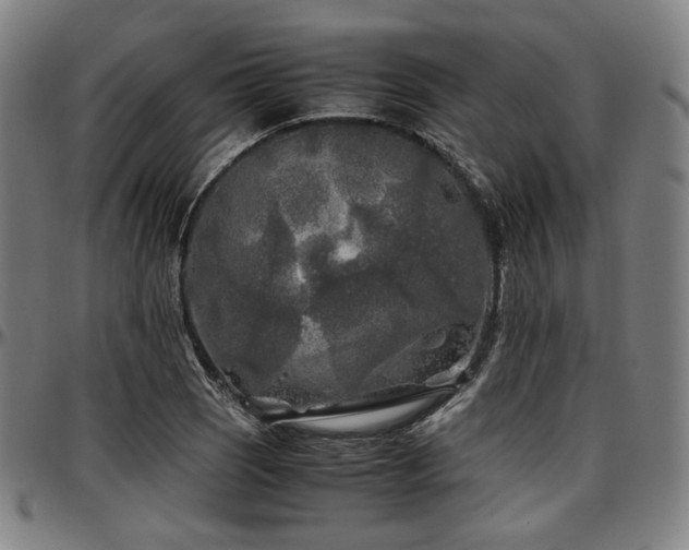 X0000097601121200802291237