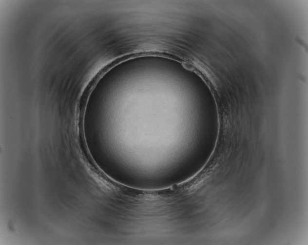 X0000097601124200802291237