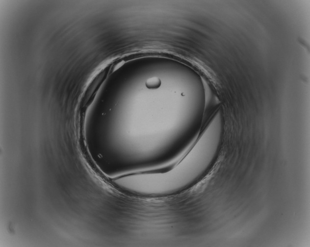X0000097601126200802291237