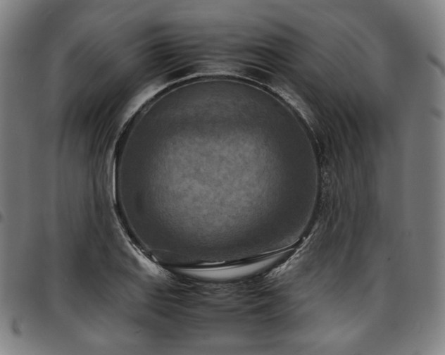 X0000097601127200802291237