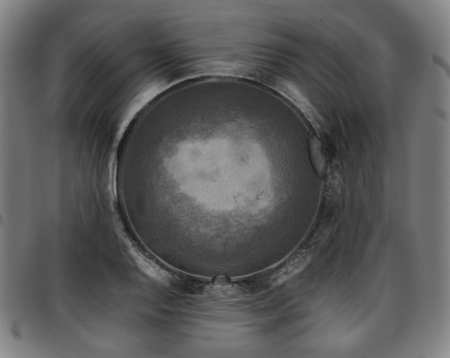 X0000097601128200802291237