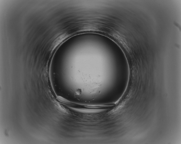 X0000097601129200802291237